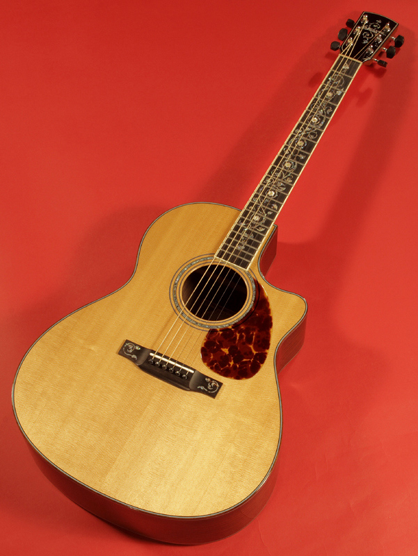 Larrivee_800_4303.jpg