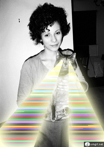 laser_cat.gif