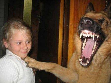 laughing-dog.jpg