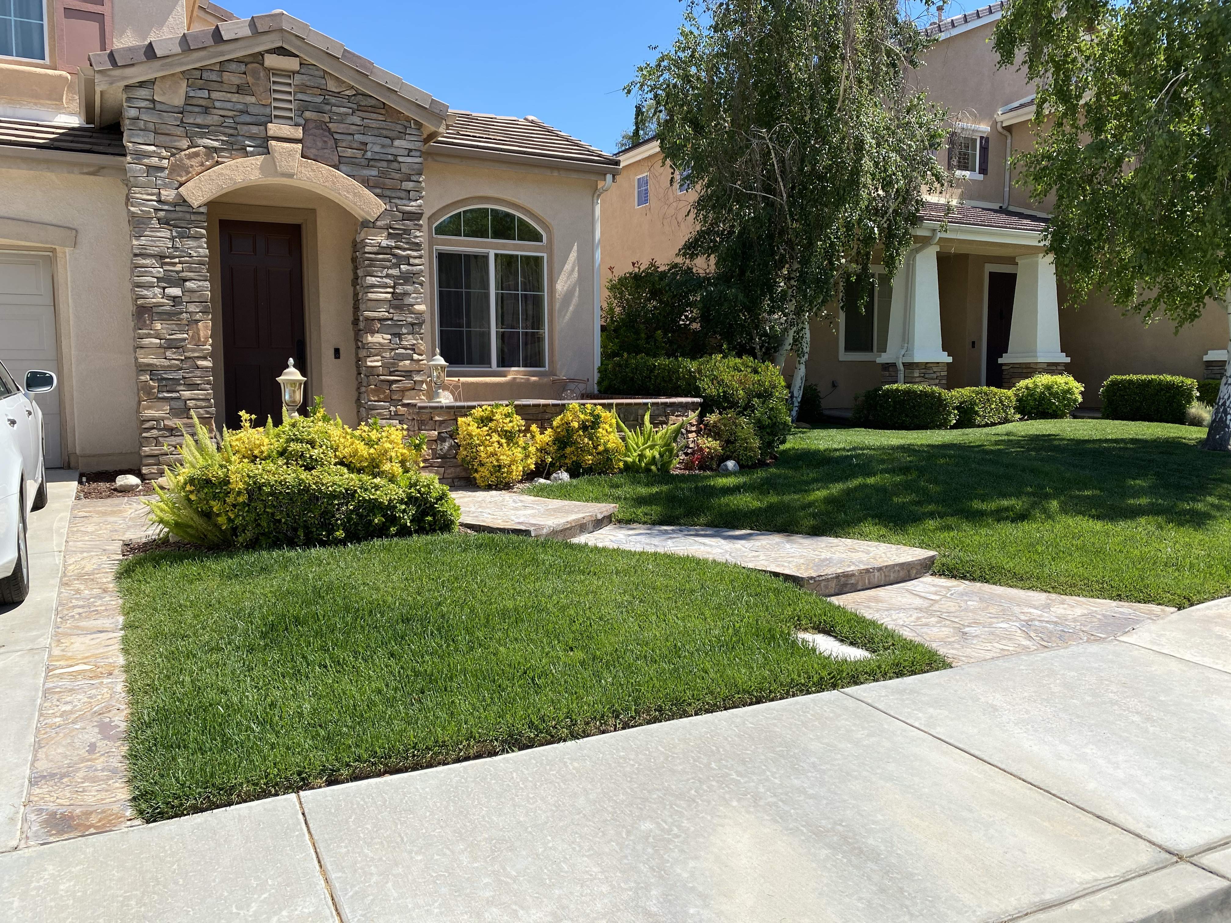 lawn 5-27-20.jpg