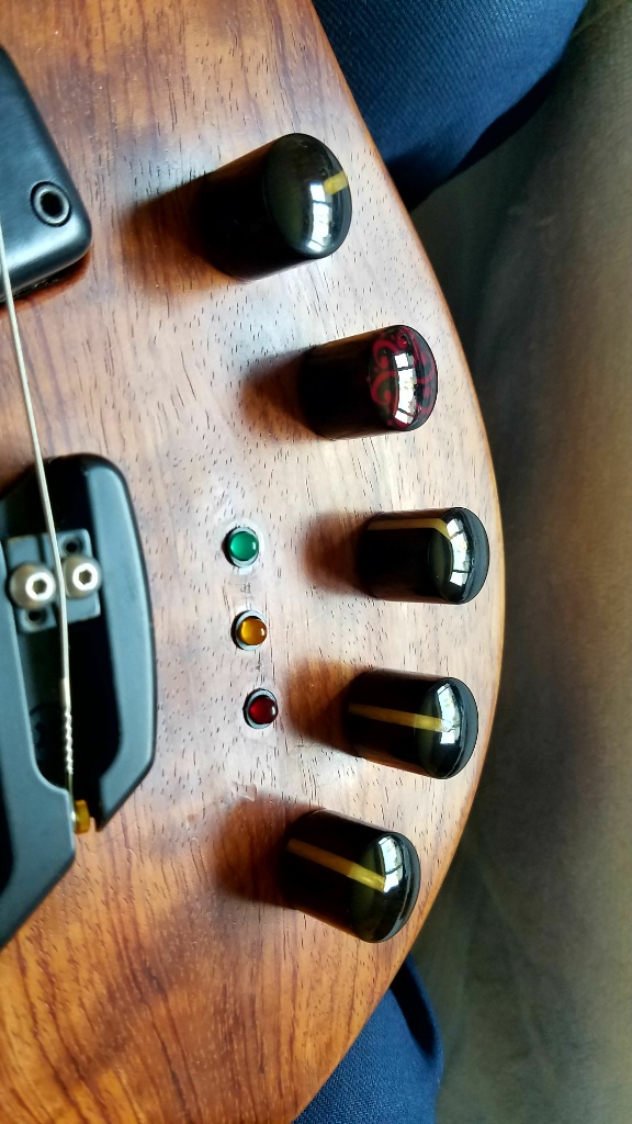 LEDs.jpg