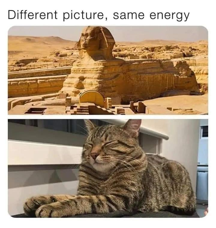 Legendary cat.png