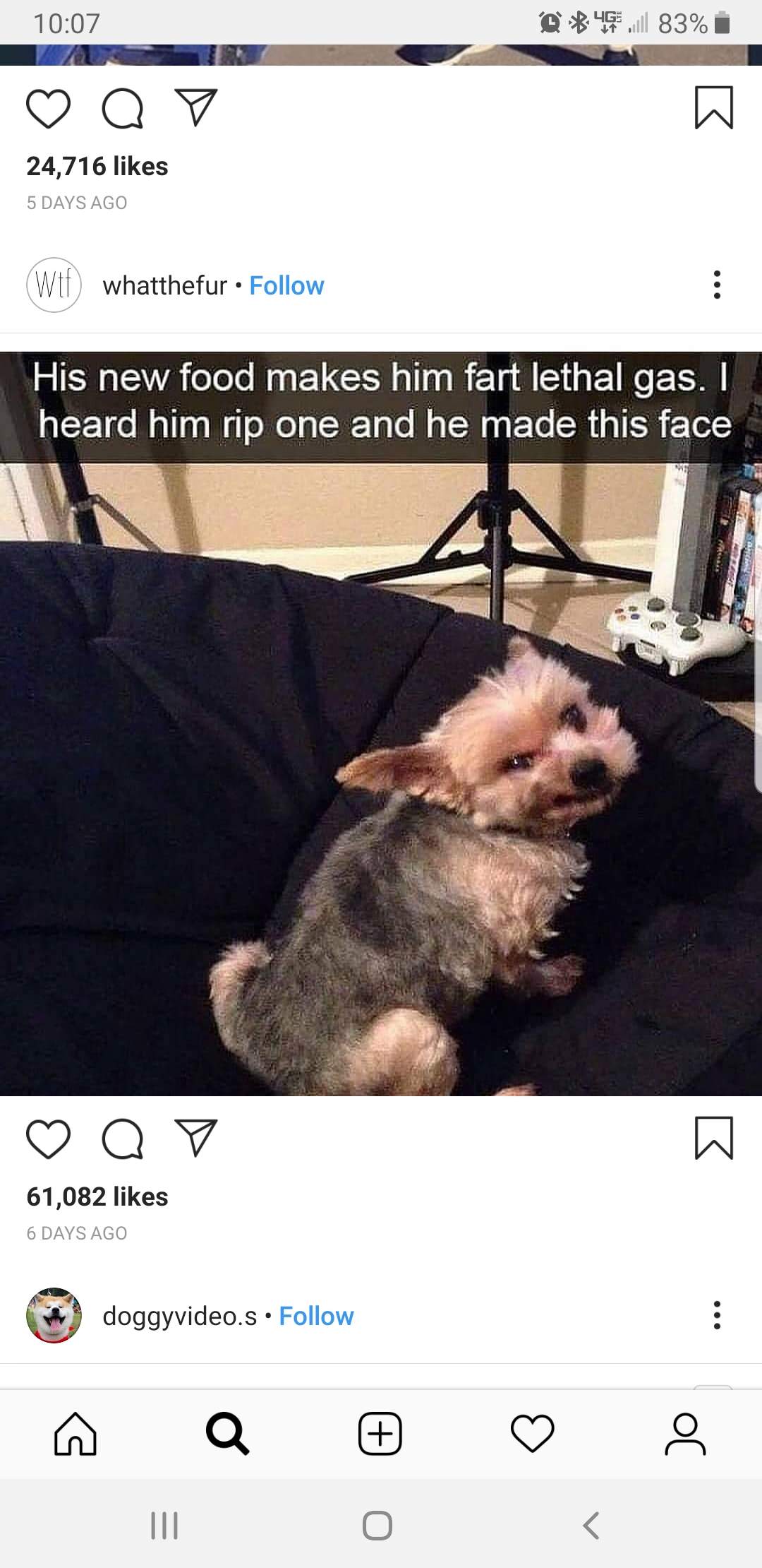 lethal gas pup.jpg