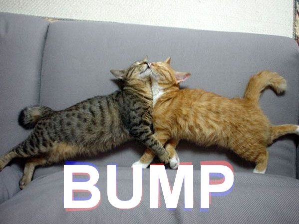 Lets-Bump_zps14e64f64.jpg