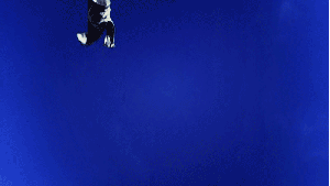 Lets+go+to++_f4097df369394d9b40c5b780cf04b7ba.gif