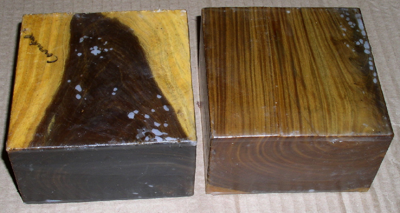 lignumvitae3x5x5.jpg