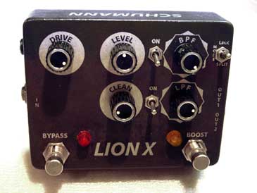 lionx365.jpg