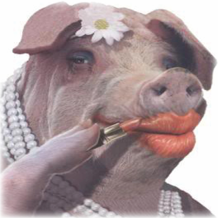 lipstick-on-a-pig.png