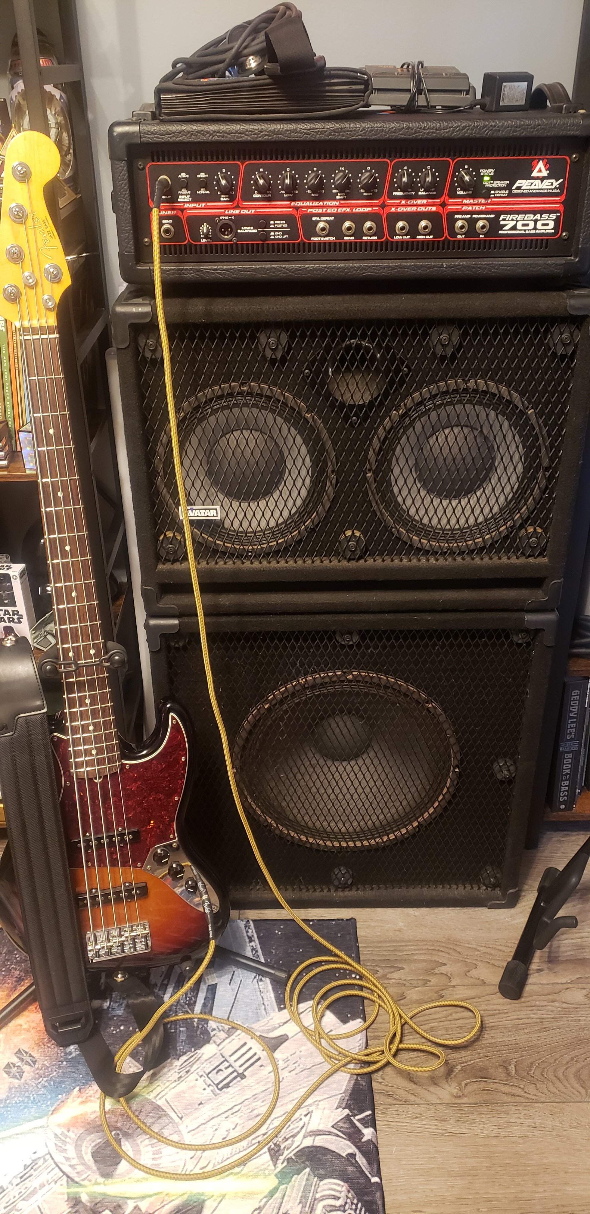 Live Bass Rig.jpg