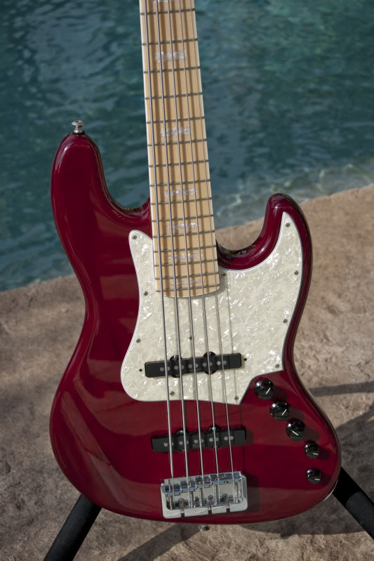 LM5bodyfront.jpg