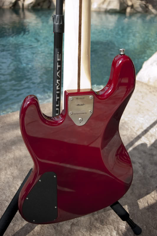 LM5bodyrear.jpg