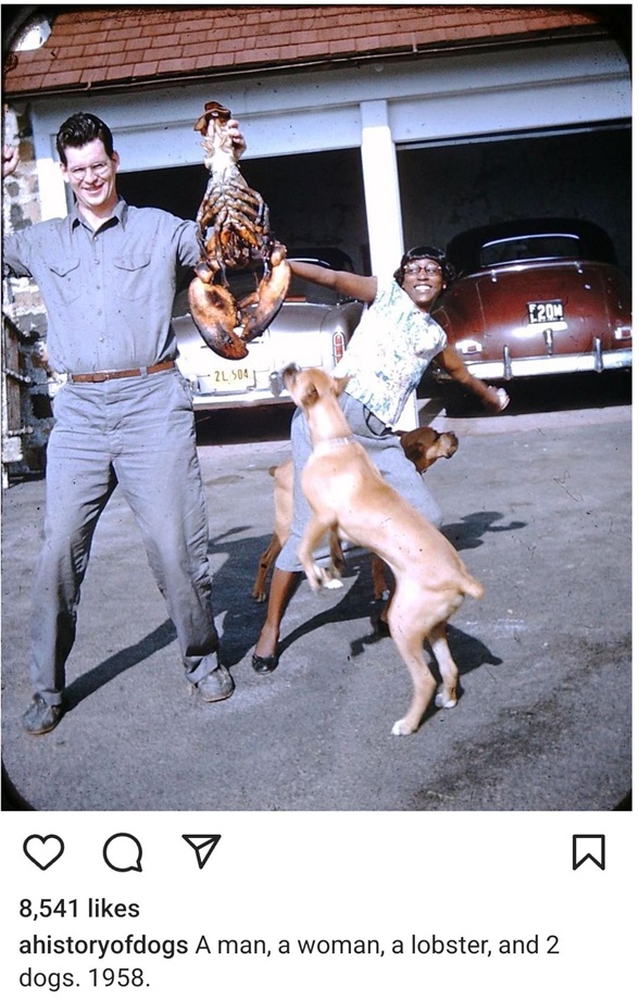 lobster dogs.jpg