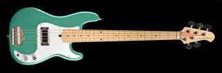 LOG-BG5-teal-chi-m.jpg