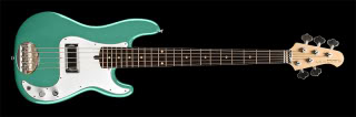 LOG-BG5-teal-chi-r.jpg