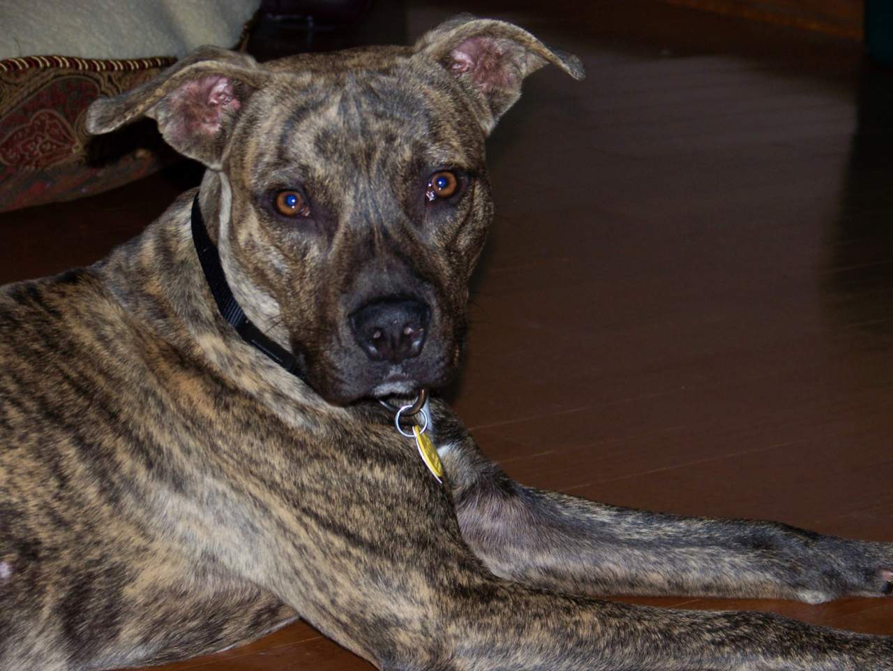 Loki 1309 006.jpg