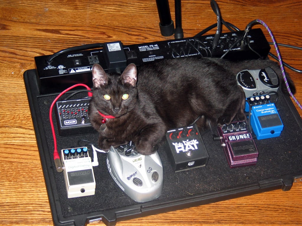 Loki%20Pedals.jpg