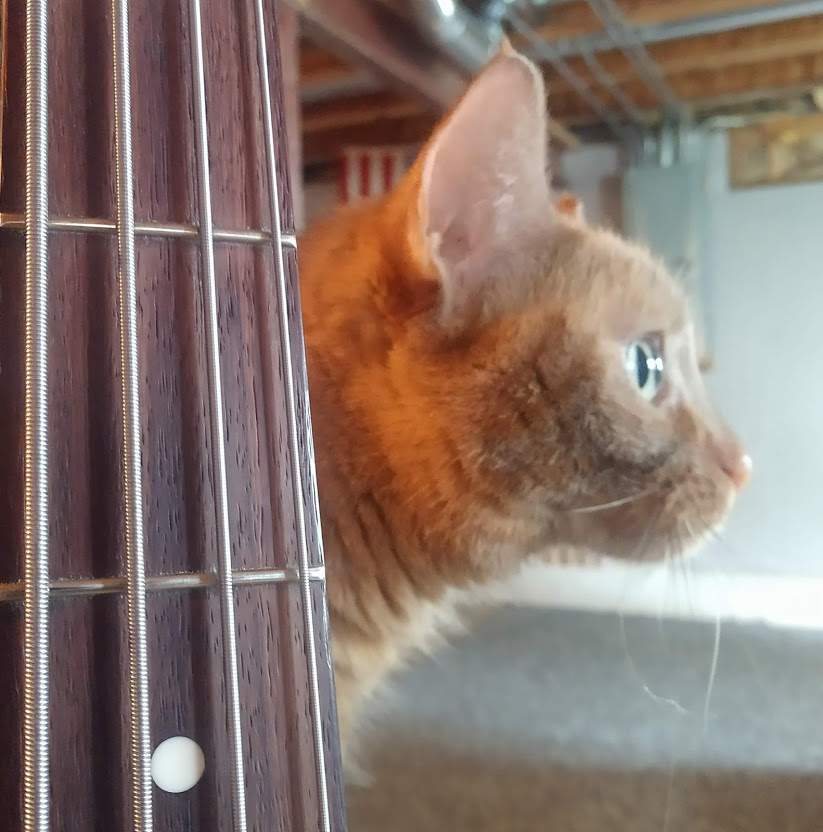 lola neck.jpg