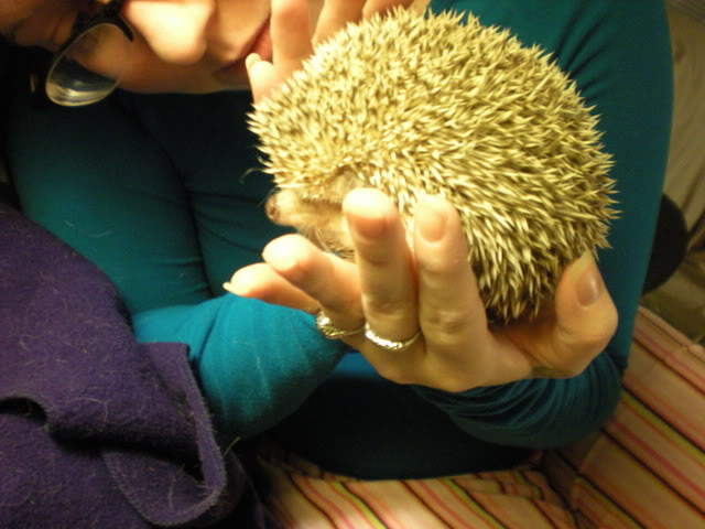 lola008.jpg