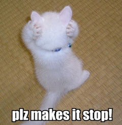 lolcat1.jpg