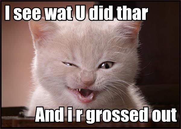 LolCatRenderer17.jpg