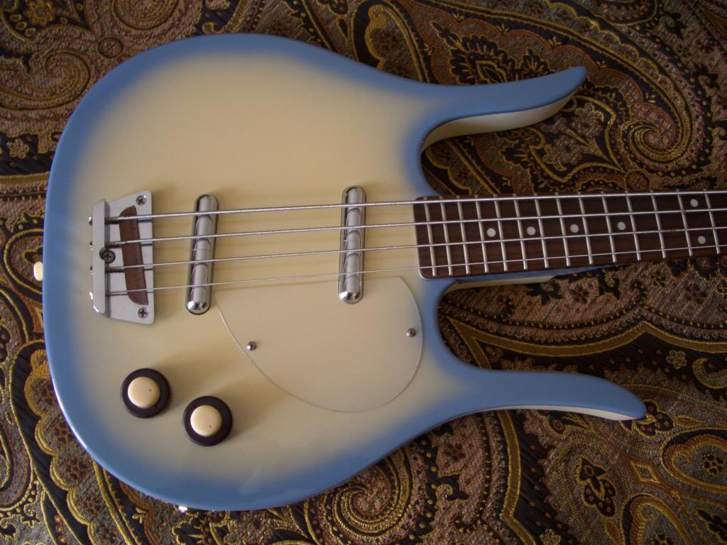 Longhornbody.jpg