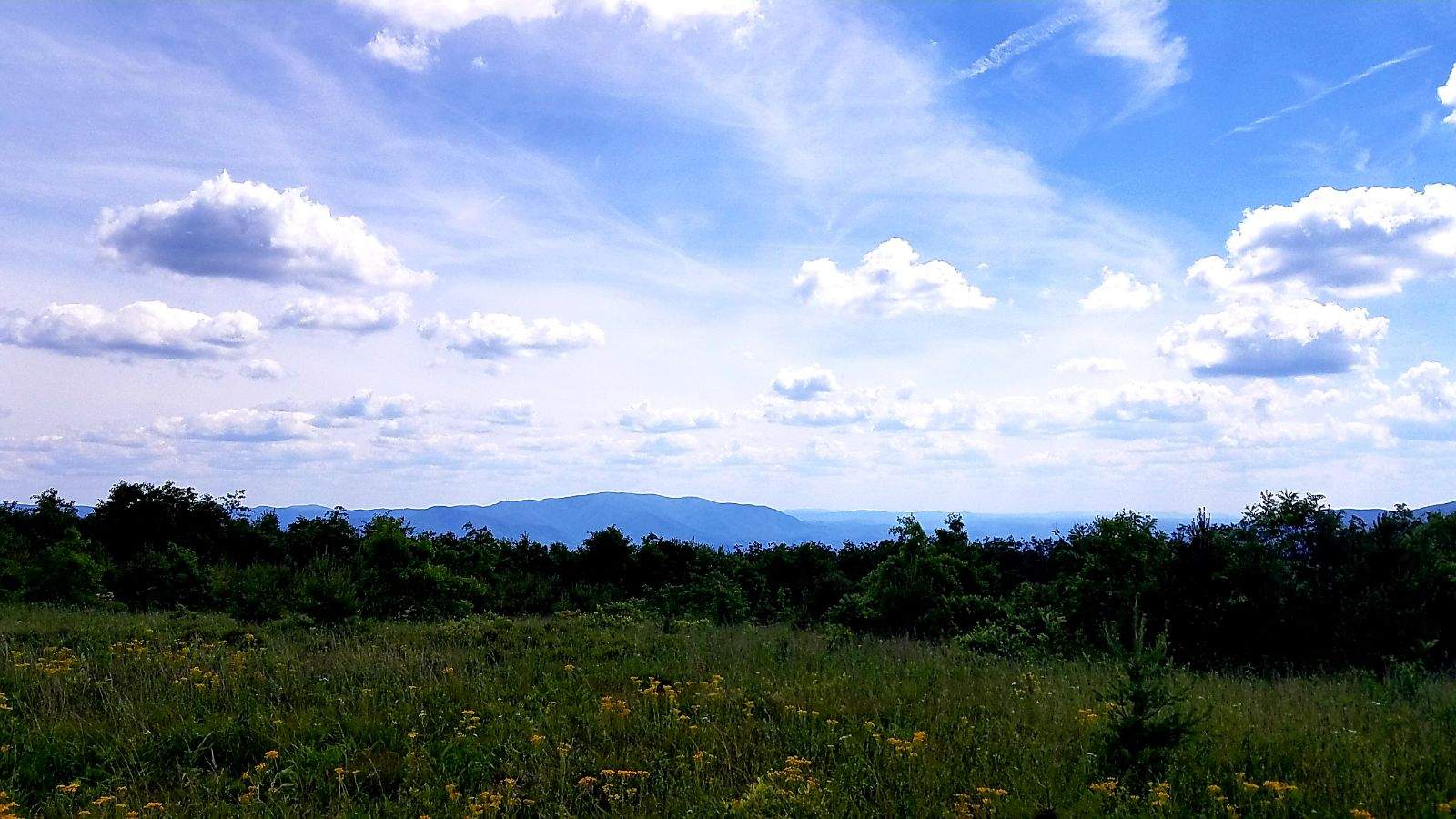 Looking South.jpeg