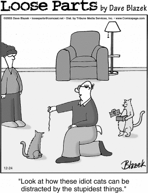 Loose Parts - Cat Pickpocket.GIF