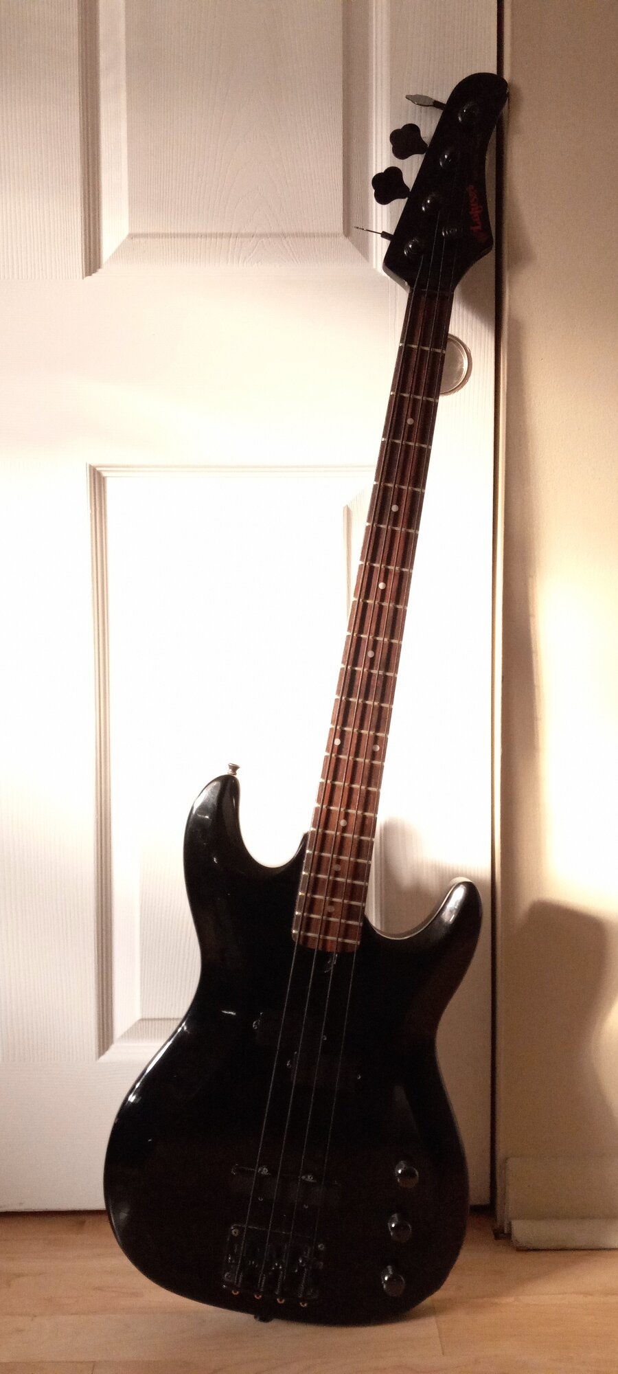 lotus-dr-strings.jpg