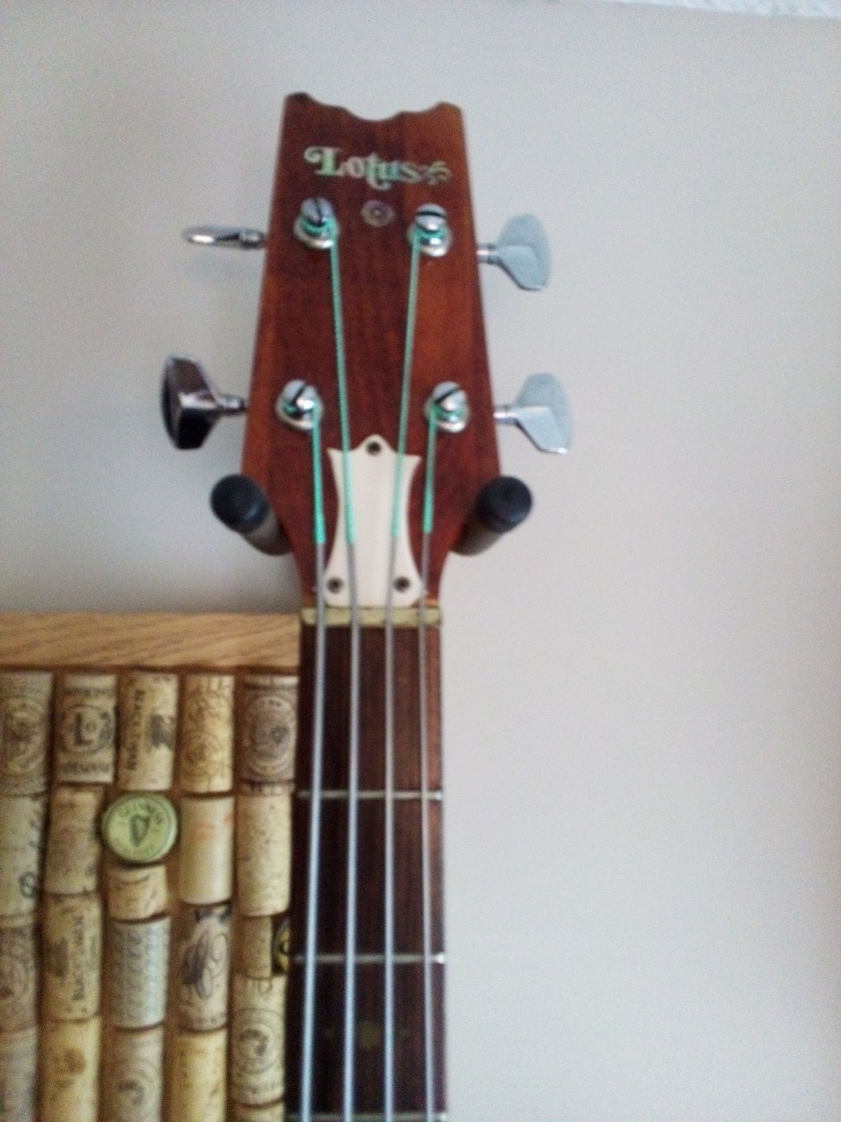 Lotus headstock.jpg