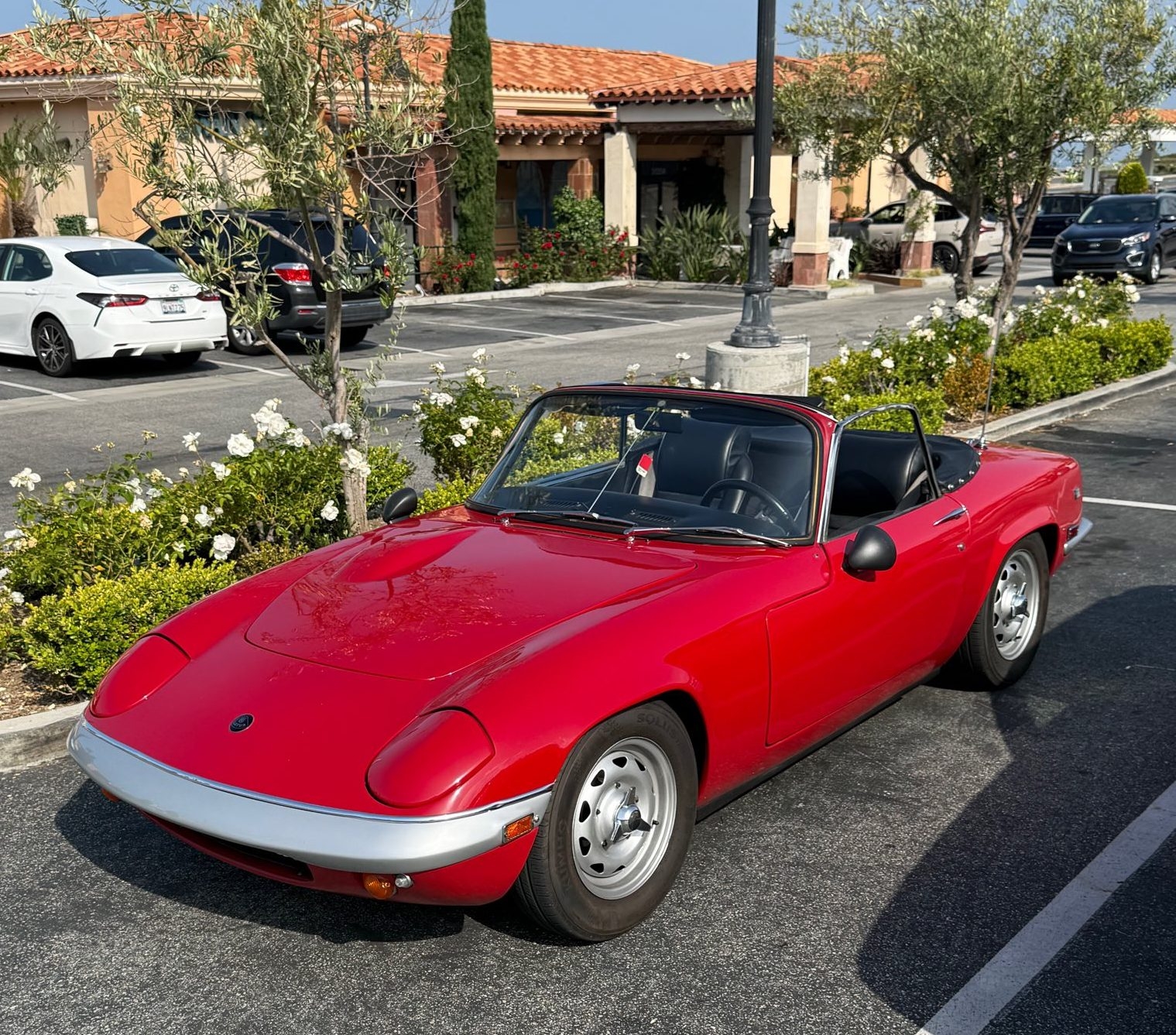 LOTUS.jpg
