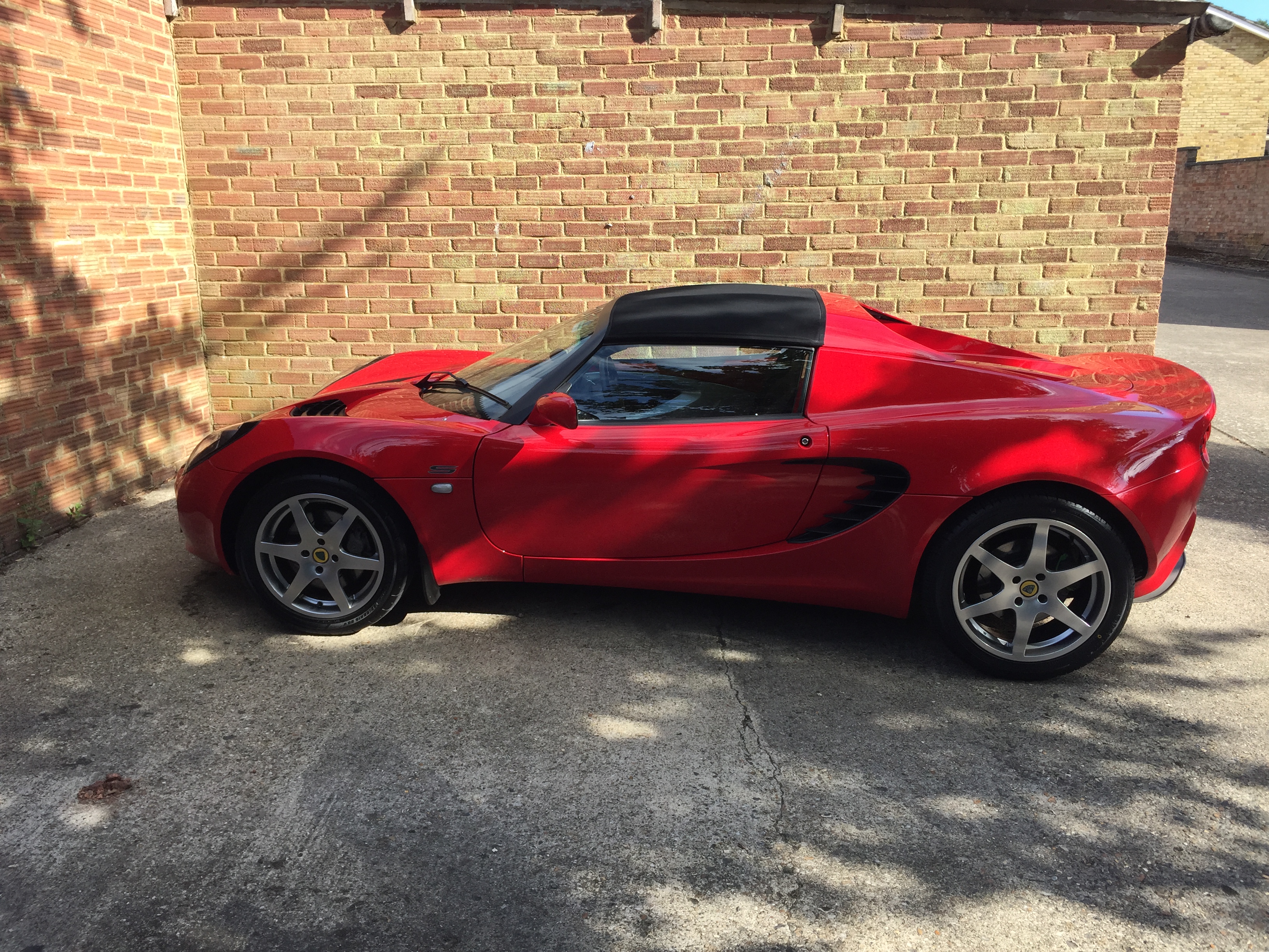 Lotus - side - IMG_0962.JPG