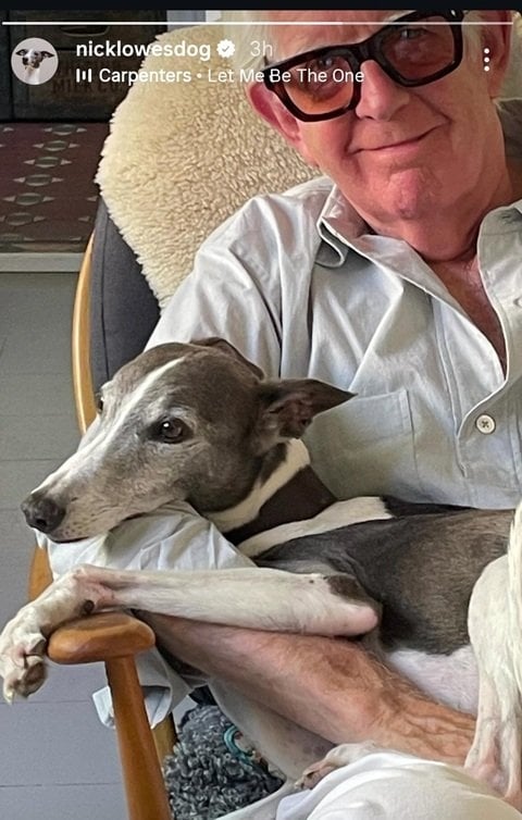 Lowe dog.jpg