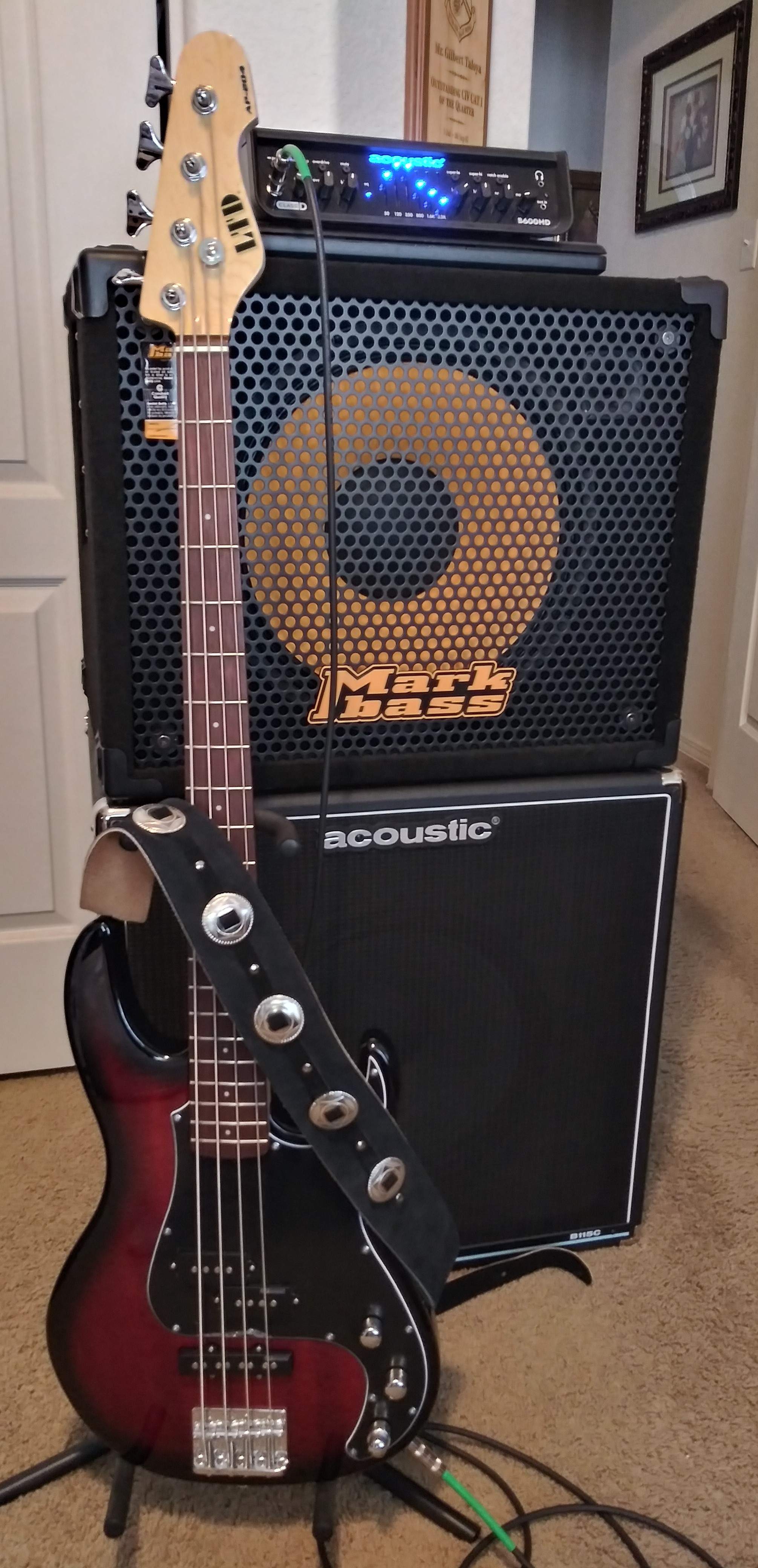 LTD AP204.jpg