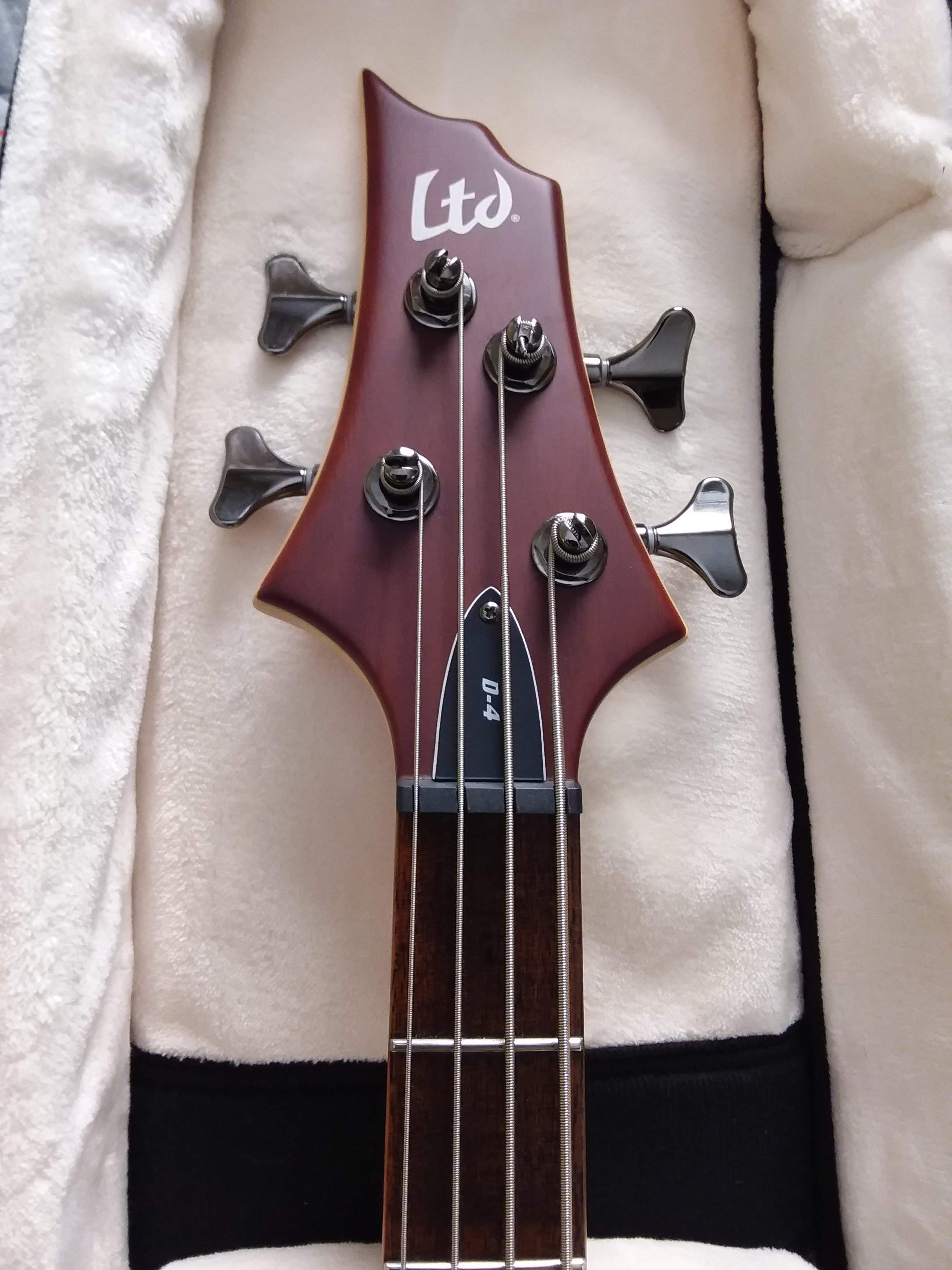LTD D-4 Headstock New 2018 Model.jpg
