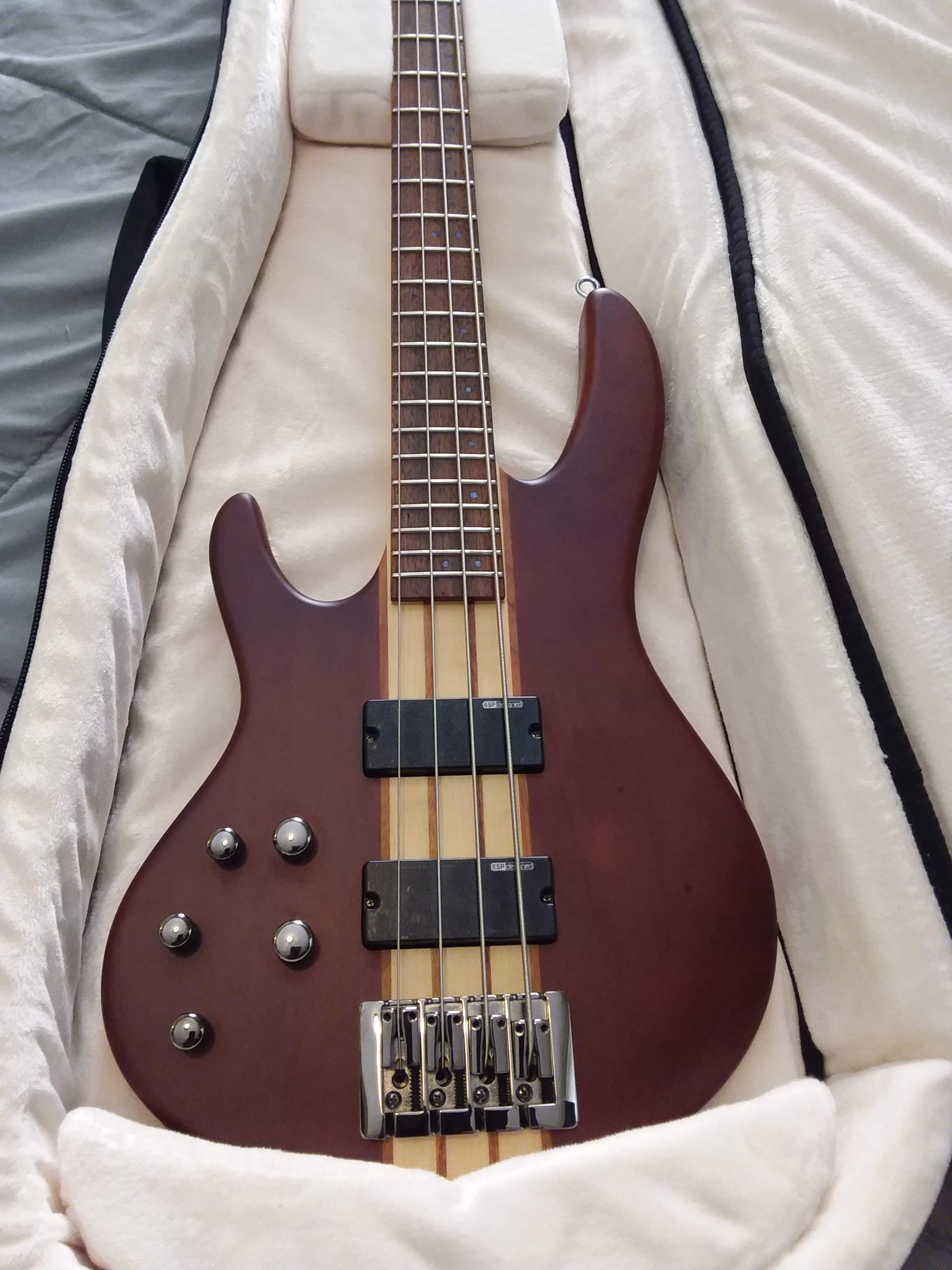 LTD D-4 New 2018 Model.jpg