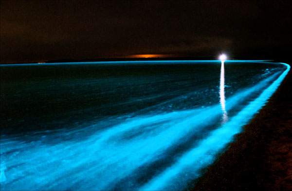 Luminous_Lagoon__25201_zoom.jpg
