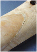 luthjoint.jpg