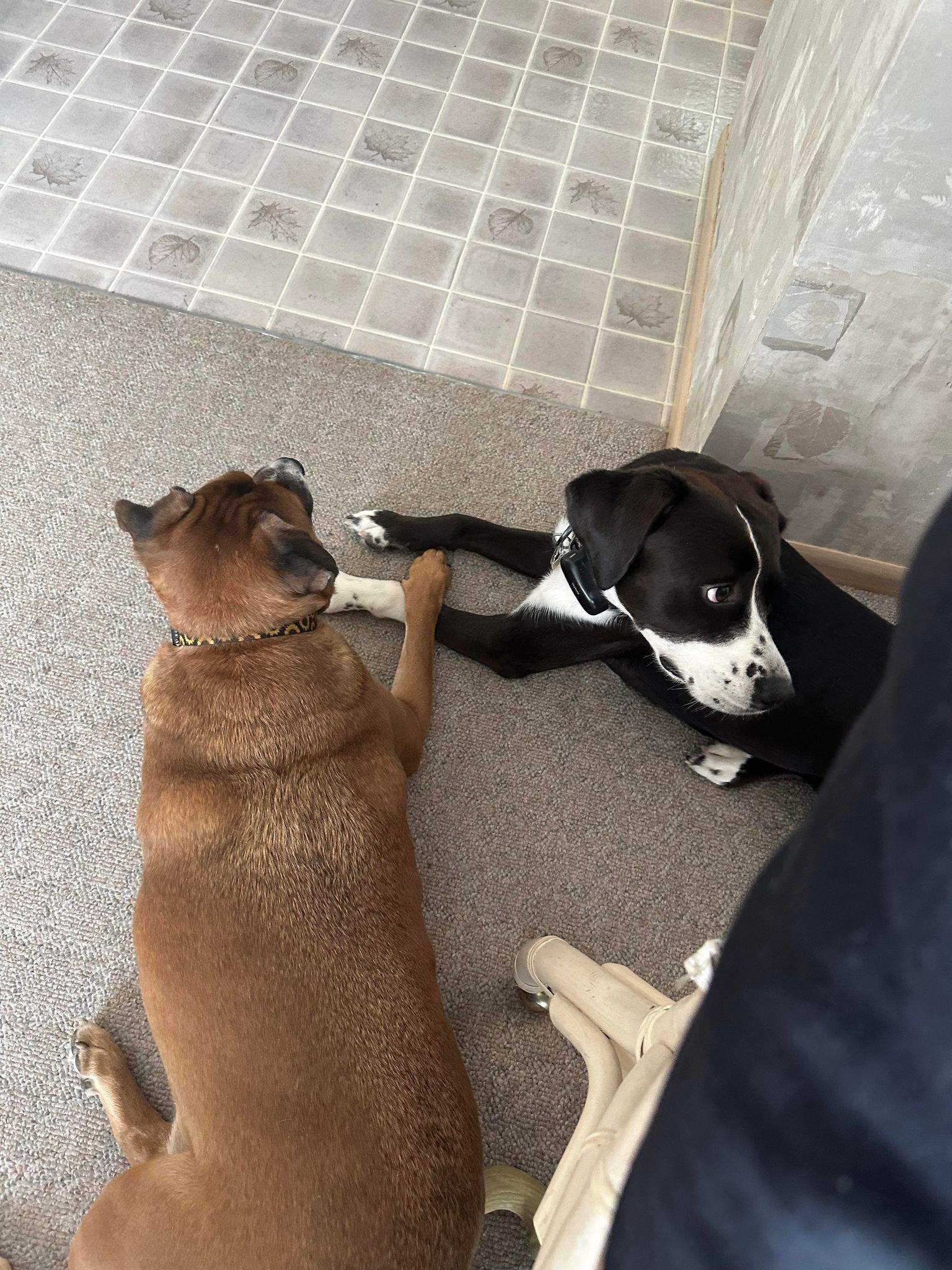 m and k.jpg