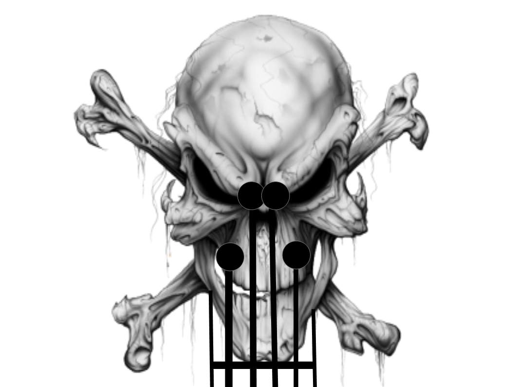 m head.jpg