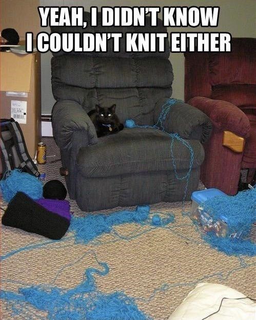m-yeah-didnt-know-couldnt-knit-either-302.jpeg