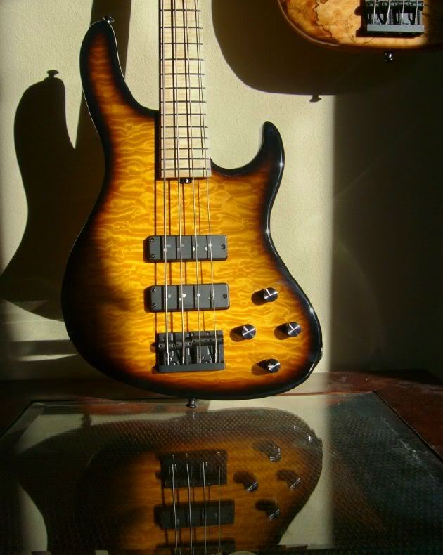 M4reflectionandsun.jpg