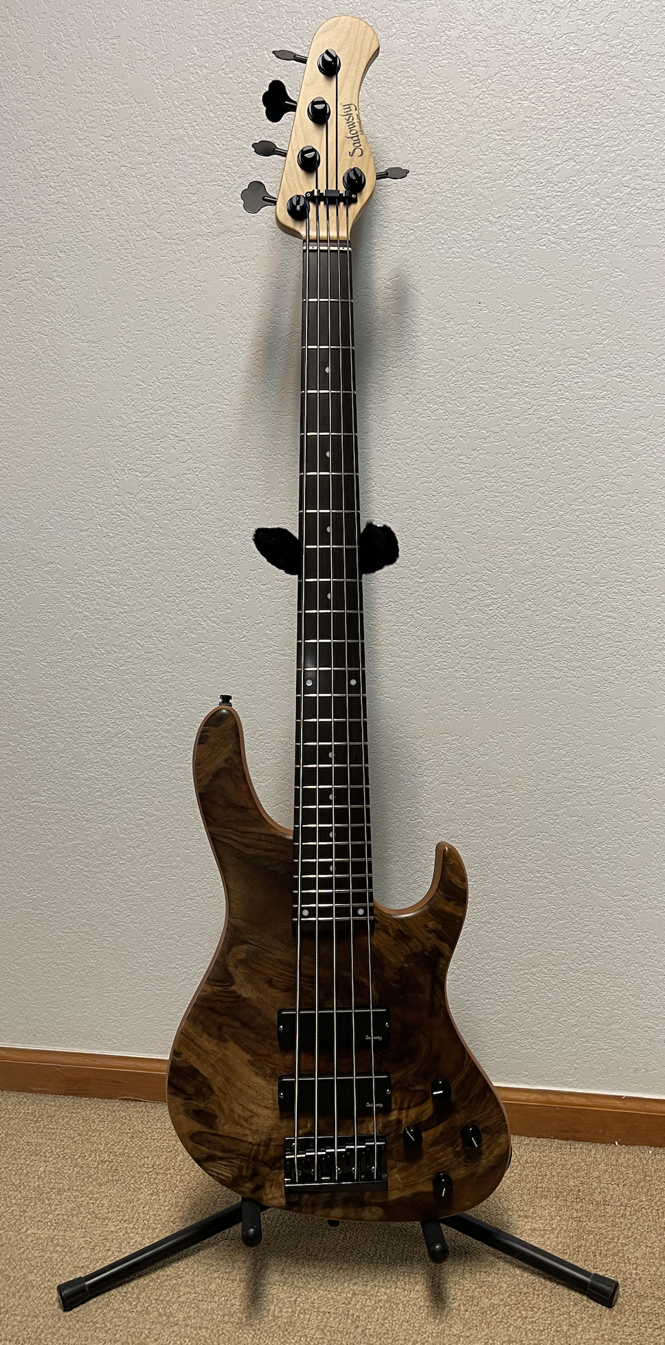 M5-24LTD.png