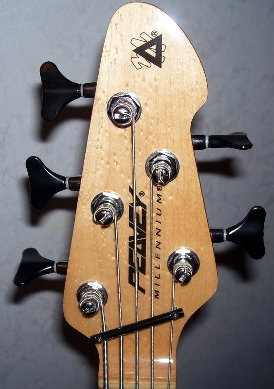 m5standardheadstock.jpg