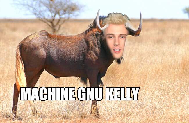 MachineGnuKelly.jpeg