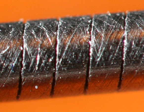 macro1.jpg