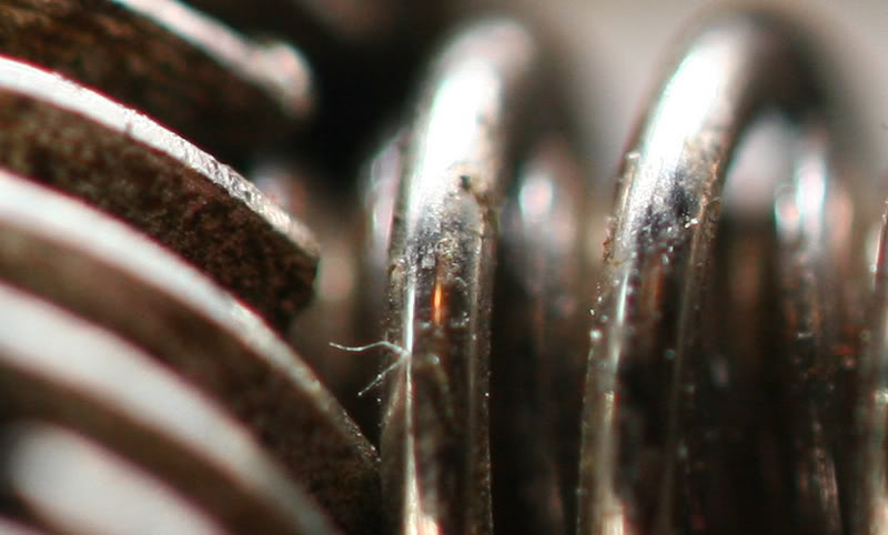 macro3.jpg