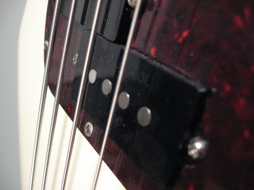 MacroBass001.jpg