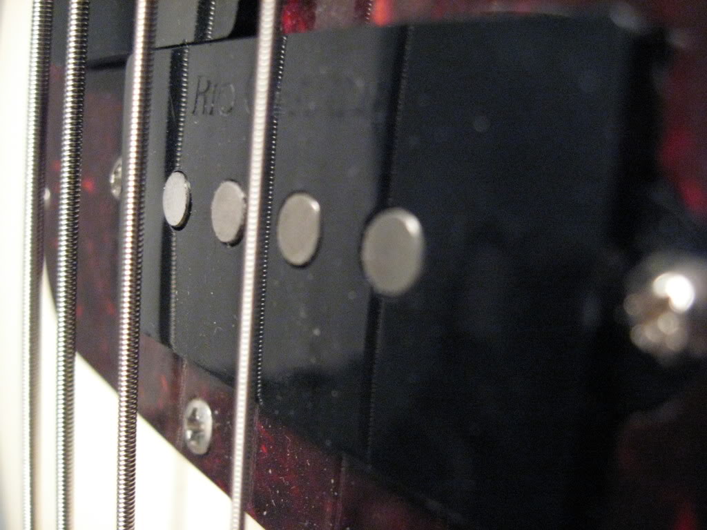 MacroBass002.jpg