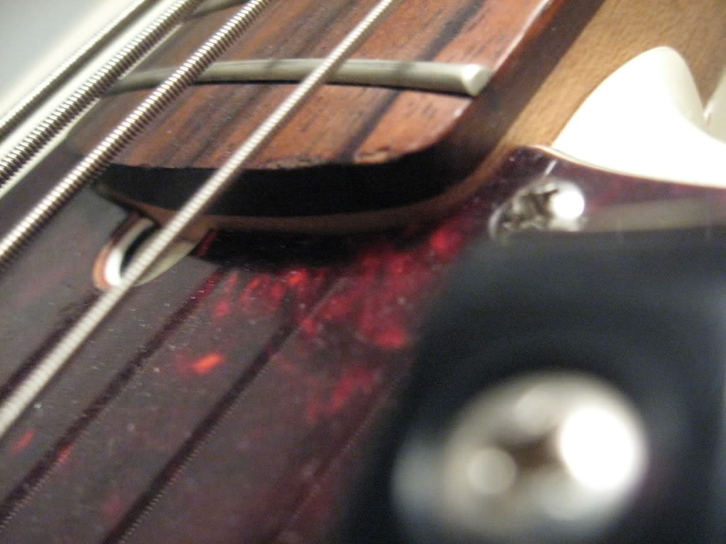 MacroBass003.jpg