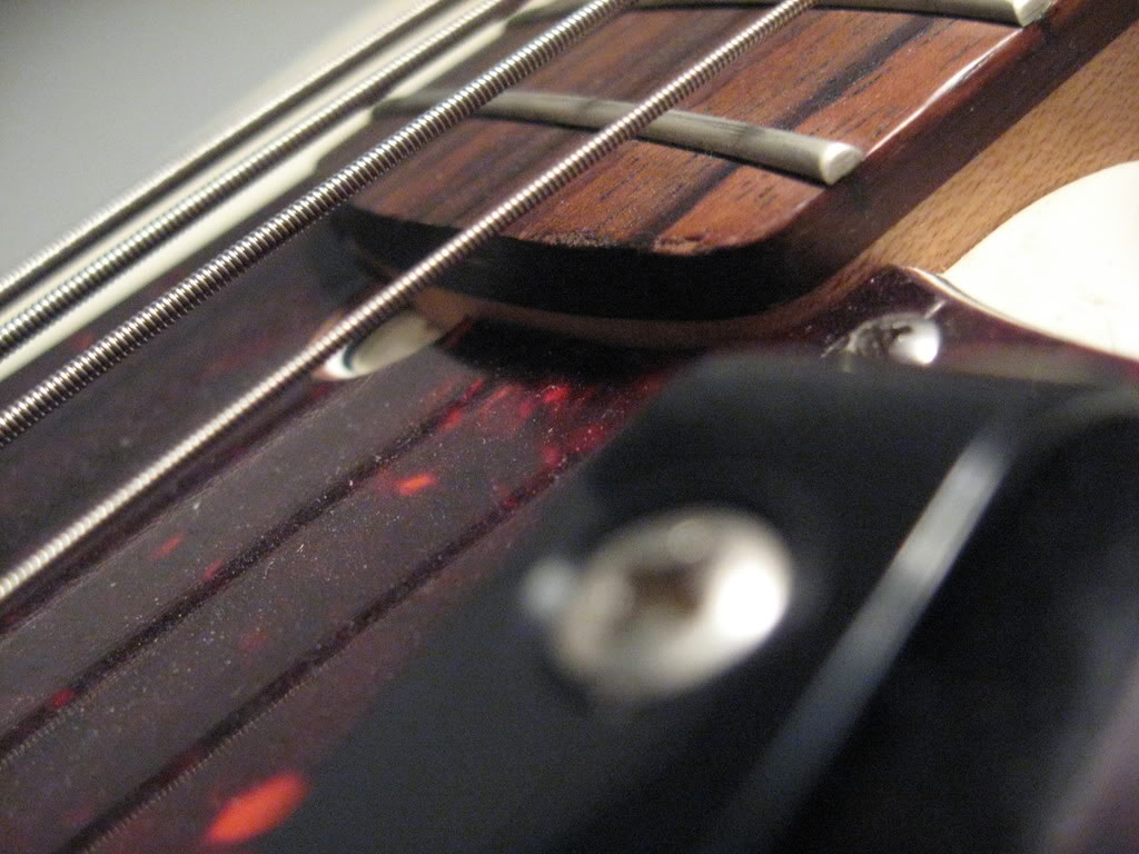 MacroBass004.jpg